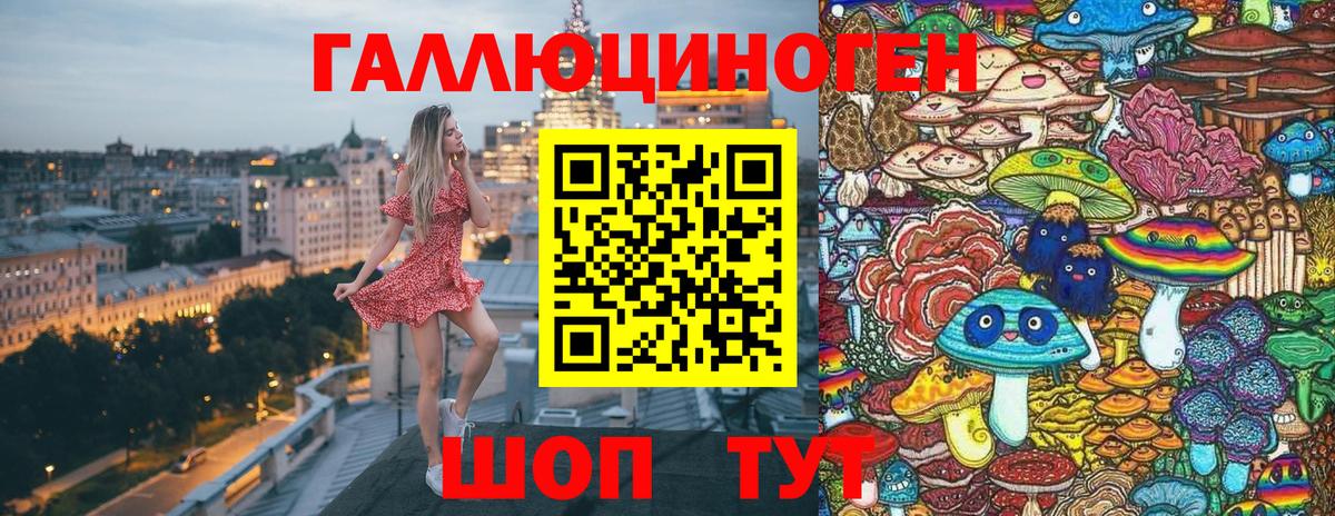 Муравленко  Галлюциногенные грибы Cubensis  Вход с VPN 