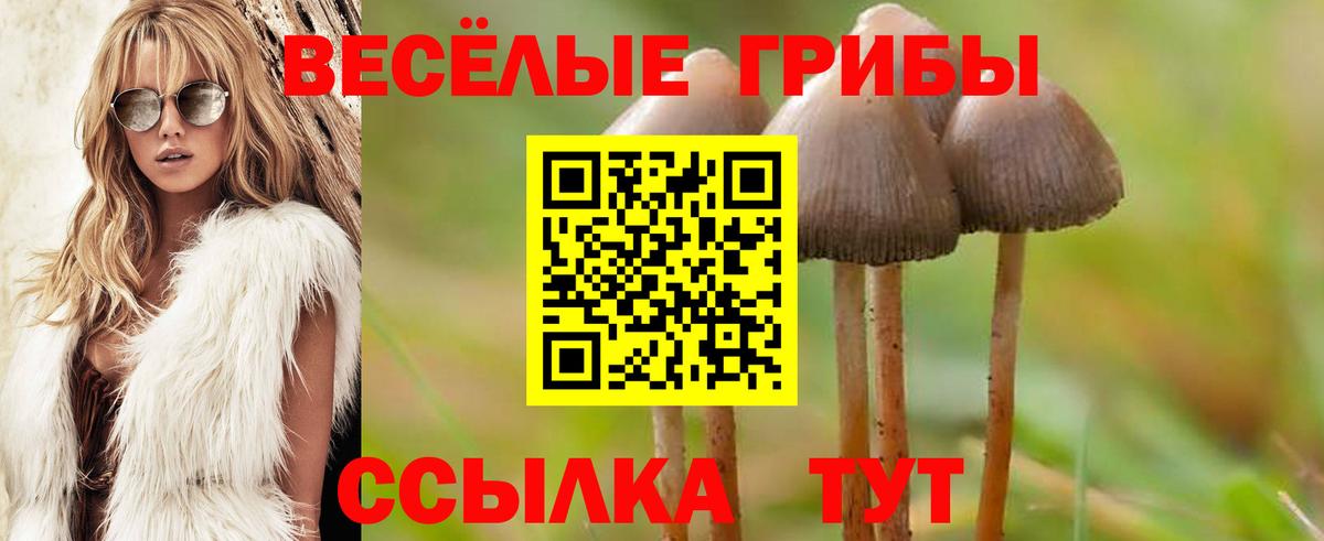 Псилоцибиновые грибы Magic Shrooms Муравленко